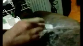 Nóng dầu lên Sydney Cole sechnang hút dầu chim