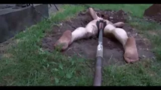 Cô âm đạo của tôi, chặt nhỏ. Tôi có rất nhiều và tôi sech hd sẽ làm một chân